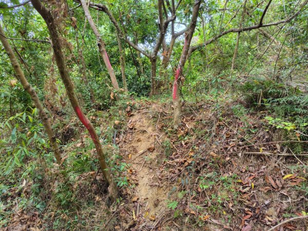 健行筆記雲林近郊山頭及湖山水庫2751686