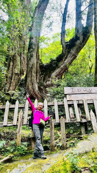 🌈8/16（六）遠的要命的王國~鎮西堡B區神木巡禮✨FB：熊熊趴爬走🌈2861637