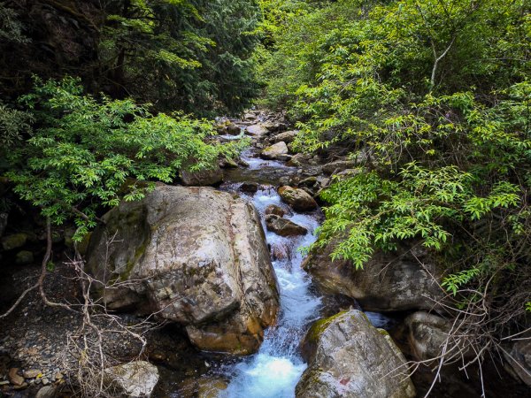 2025-05-17 羅葉尾溪秘境2792416