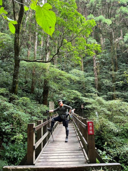 桃園 復興/新北 三峽 東滿步道2314907