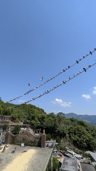 不是臺北大縱走63042941