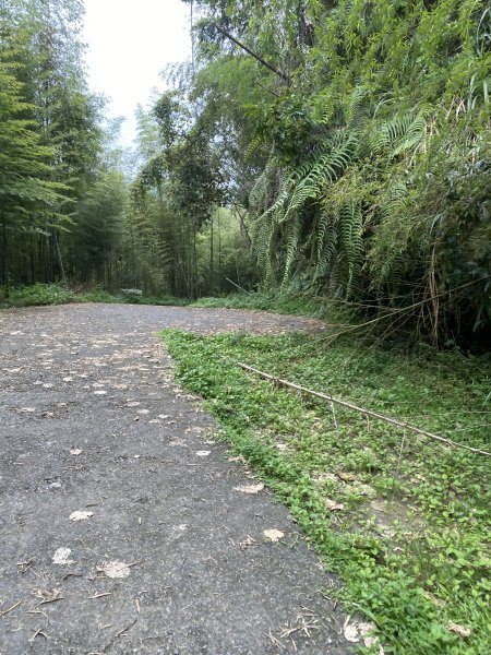 竹崙山志騰山3065570
