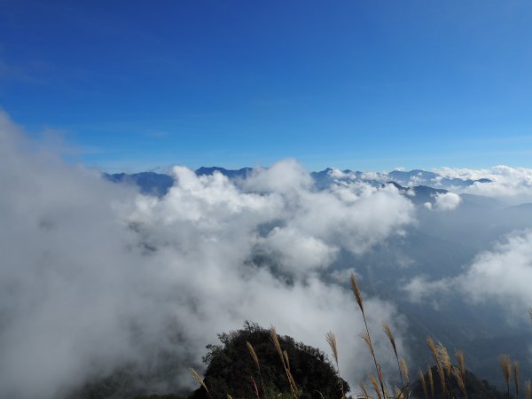 四訪加里山-----終於看見雪霸聖稜線733686