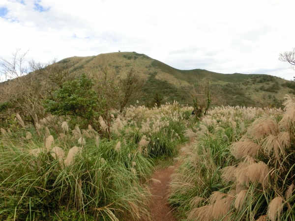 大屯山西峰．南峰．大屯坪94813