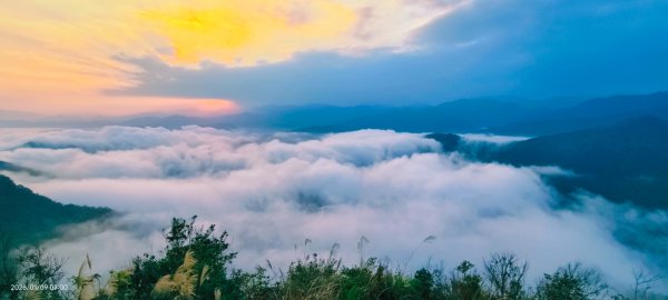 #翡翠水庫壩頂 #雲海 #日出 #陽明公園 #夕陽1/92979378