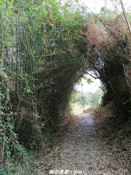 適合賞景健身親子型步道~鳳凰山觀音山步道1244180