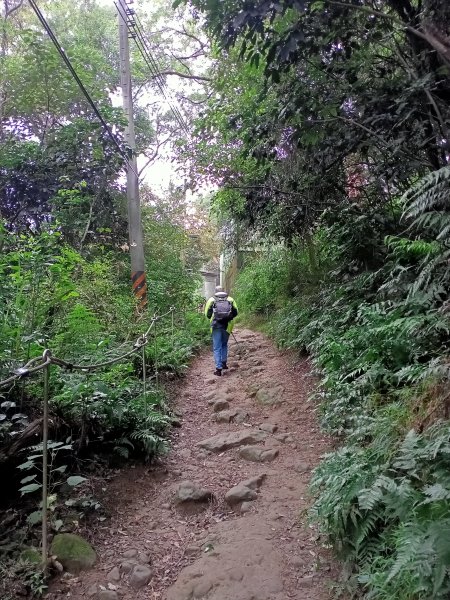 【小百岳集起來】鳶山登山步道【南山神壽任務尋寶趣】鳶山彩壁、福德坑山步道1580846