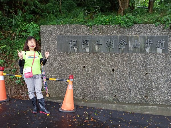 【山系野遊】 觀音山楓櫃斗湖步道拾階趣