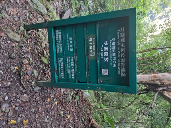 小百岳集起來立霧山登山步道，初音山步道3113461