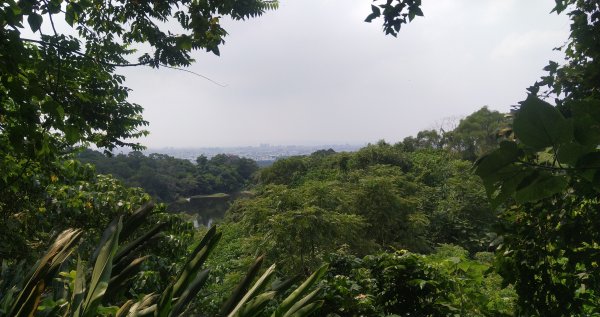 20211002_三汀山1475937