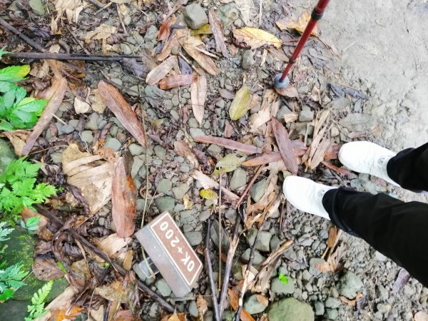 台南東山~山上尋悠。 #65小百岳崁頭山915980