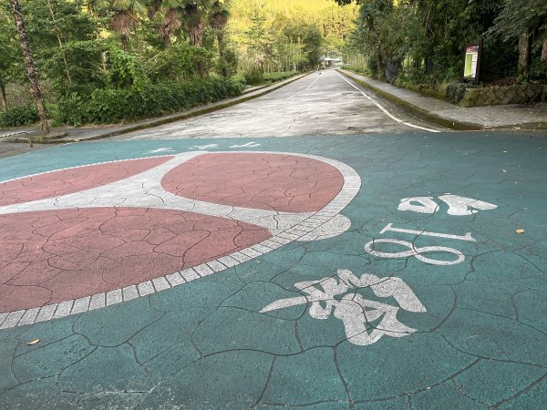 [嘉遊好步道．來嘉走走-04/10] 2024_1011 阿里山頂湖步道2624788