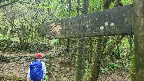 2025-01232淡蘭古道北二段(燦光寮古道到澳底)2696598