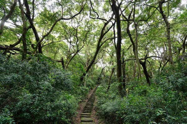 臺北 北投 嘎嘮別山、稻香山、貴子坑山2760538