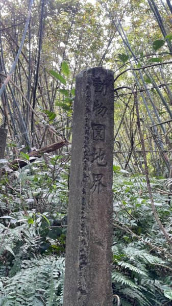 銀河洞越嶺貓空-新高麗坑山-銀獅縱走-猴山岳群峰+三條魚縱走2998278