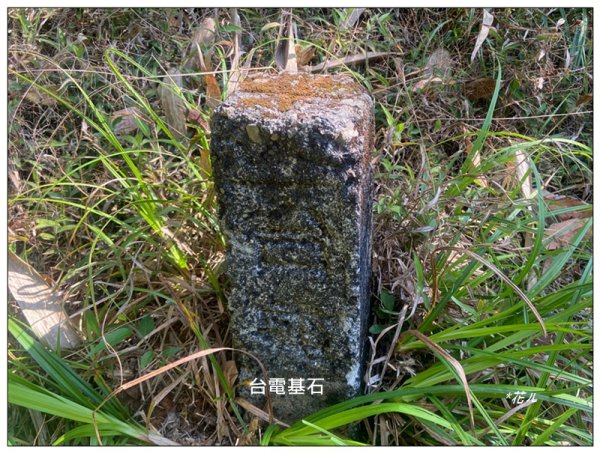 阿里眉山 (日月潭四姝的么妹)2753066