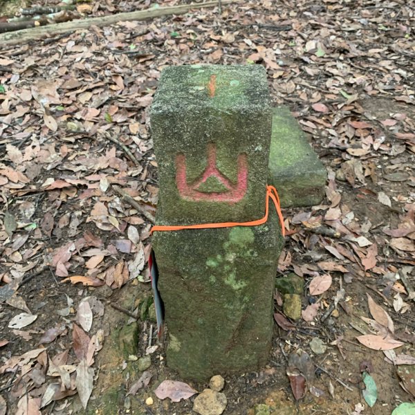 20260509南投小出山3055099