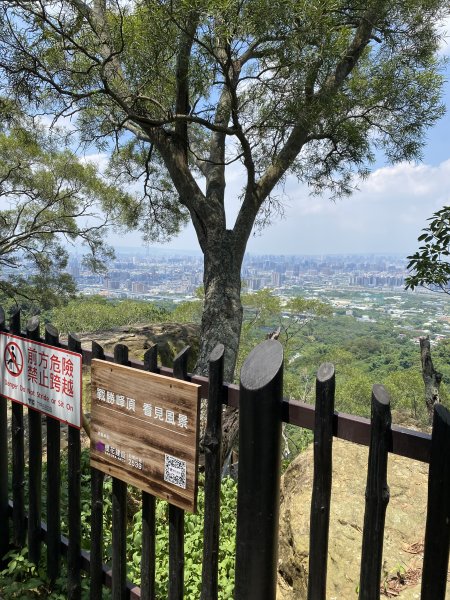 《夏日大坑同行記｜10號步道登稜線，與家人感受山風與人情味》2926354