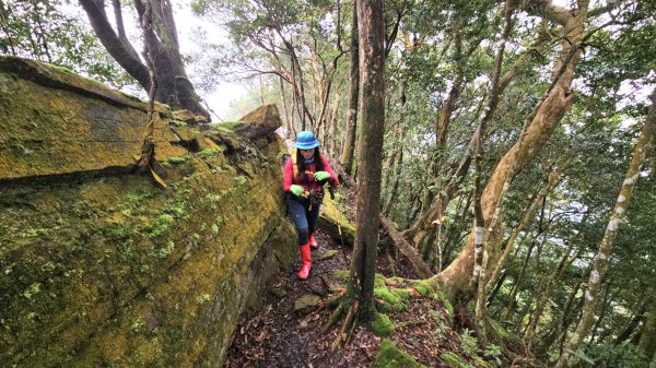 【苗栗郊山聖稜線】仙神象18連峰大縱走2675868