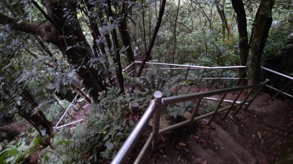 臺北大縱走第六段1779617