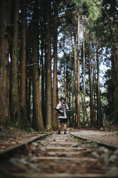 嘉義｜特富野古道1038054