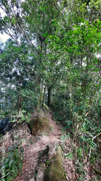 《台中》酒桶黑山｜暗影山登山(北稜線）202312242385779