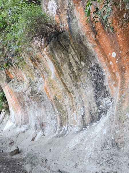 小百岳No.19⛰福德坑山(鳶山)2739698
