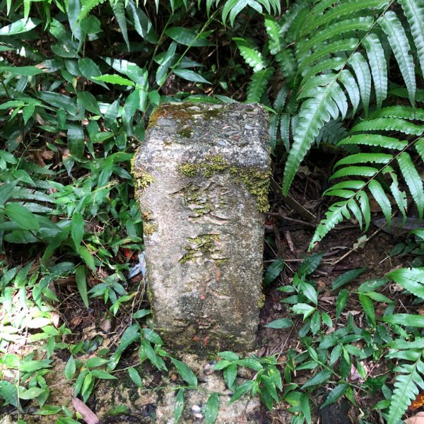 畝畝山、青林山、石古井、石硿子瀑布、石硿子古道O走1492823