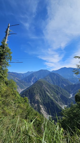 【被遺忘的南橫仙境】中之關、天池步道O繞10K2798185