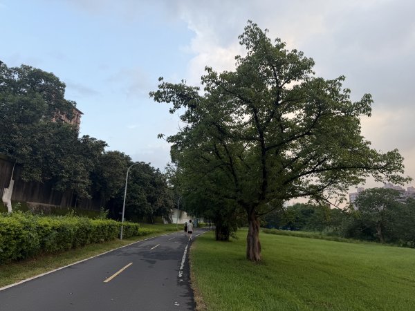 [2026臺北健走趣-09/50] 2026_0806_景美河濱公園3110834