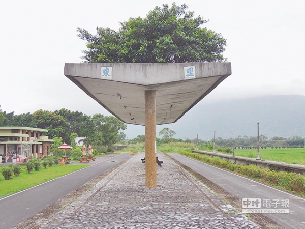 【新聞】大自然造景 遮雨棚上長樹了