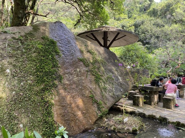 2023/11/10 圓覺瀑布 鯉魚山 碧山巖 忠勇山2383364