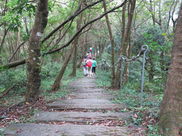 獅仔頭山避暑順遊千島湖秘境53623