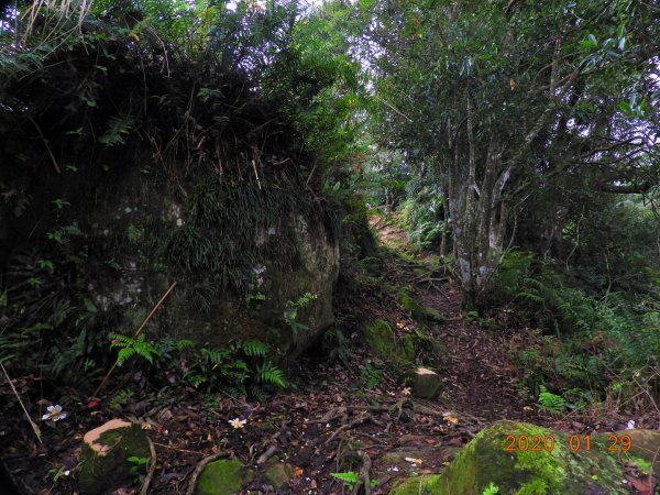 臺北市 文山 中埔山東峰817226