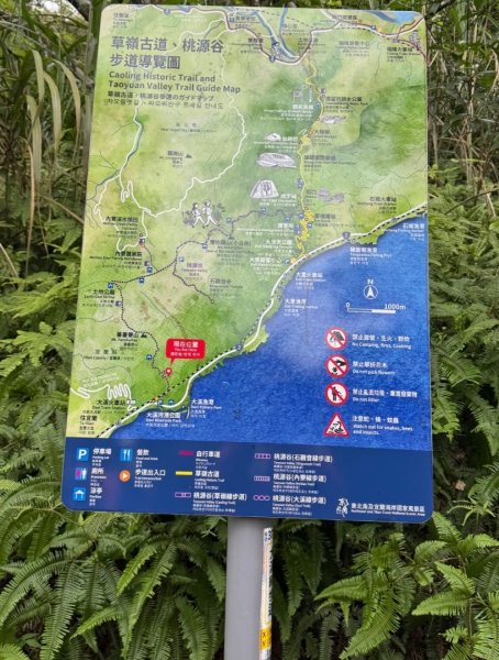 大溪漁港越嶺桃源谷下大里天公廟(蕃薯寮山 福德山 灣坑頭山/小百岳#82)3054217