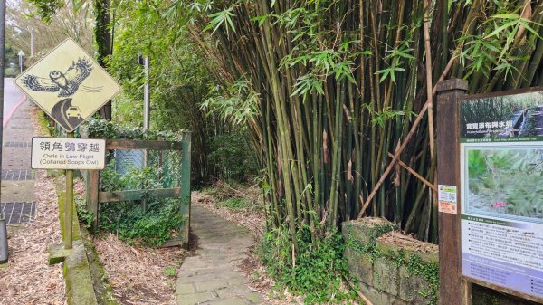 皇帝殿，獅公髻尾山，指南宮千階步道（竹柏參道），十六分山，貓空尖，絹絲瀑布步道2394561