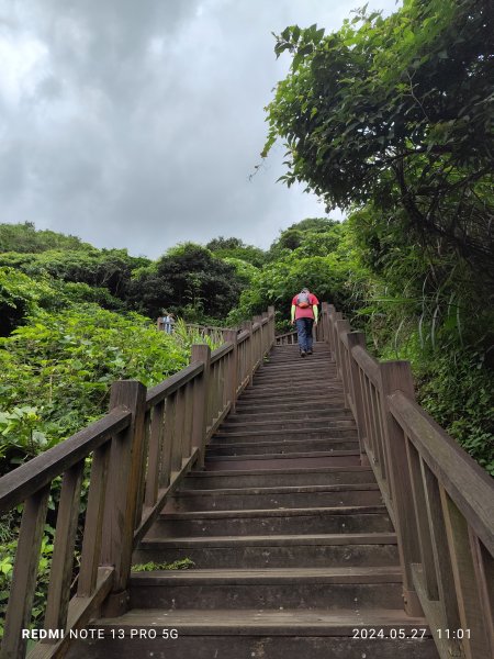 南子吝登山步道【踢不爛大地遊戲】2513427