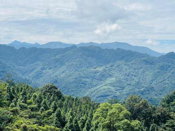 1140618鳴鳳古道｜錫隘-雲洞宮2815372