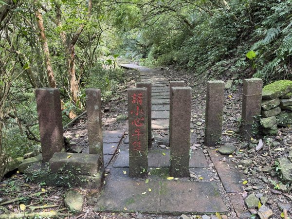 2025/03/12 大溪 桃源谷 灣坑頭山 大里2930535