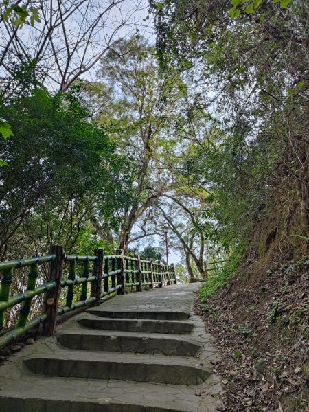 2024.03.17 竹東三山連走2900075