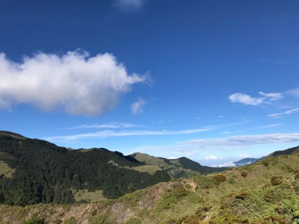 高山上的草原359304