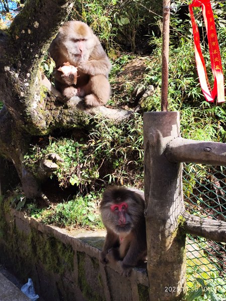 四川峨眉山 (2-1)2940263