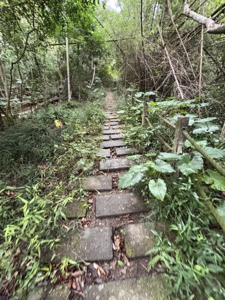 20251129女仍山步道2951770