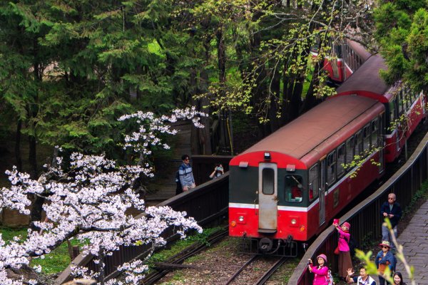 2026-03-28 阿里山3027228