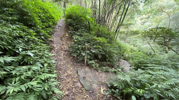 登二格山展望佳|Mt. Erge|草湳線O型|小百岳|峯花雪月2322429