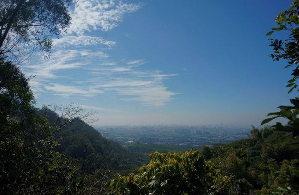 新田登山步道 聚興山1310782