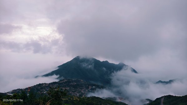 #樹梅坪 #琉璃光 出景首拍 3/32726280