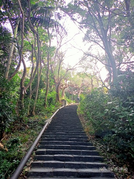 天母水管路步道→天母古道→陽明天主堂2432177