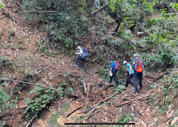 阿里眉山+大舌滿山（路跡不明/未竟 ）2866340