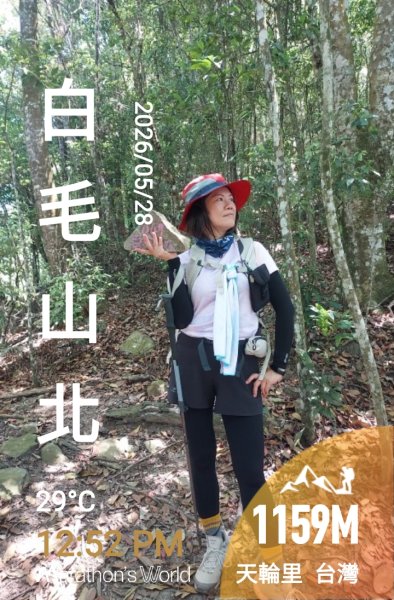 白毛山(谷關七雄No:6)3068998